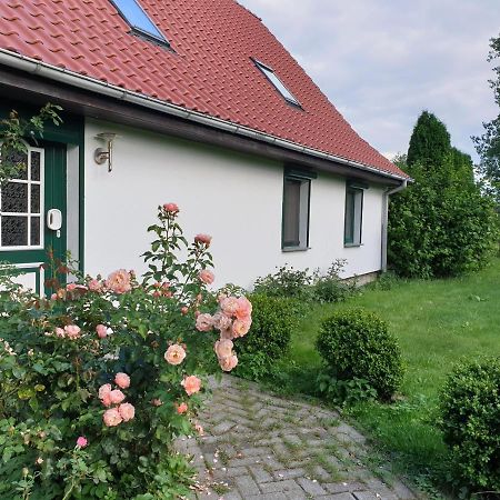 Oeko-Ferienhaus Rappin Dış mekan fotoğraf