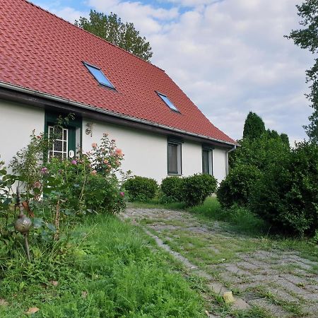 Oeko-Ferienhaus Rappin Dış mekan fotoğraf