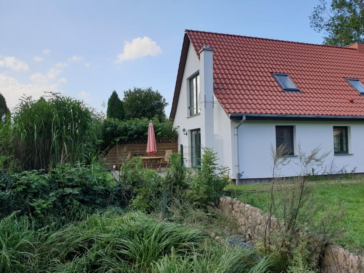 Oeko-Ferienhaus Rappin Dış mekan fotoğraf