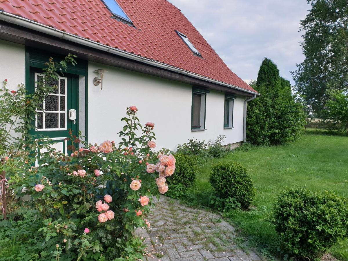 Oeko-Ferienhaus Rappin Dış mekan fotoğraf