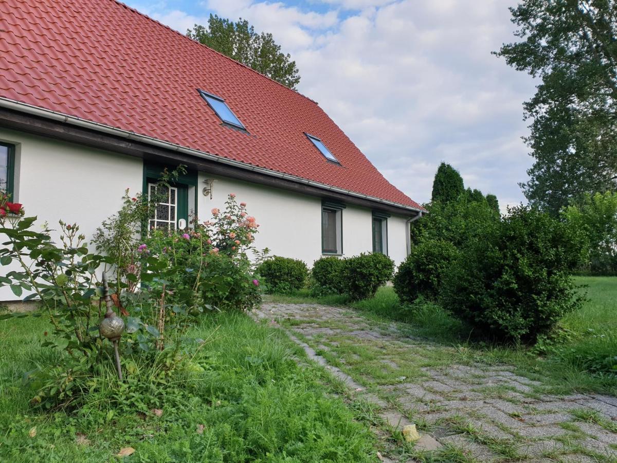 Oeko-Ferienhaus Rappin Dış mekan fotoğraf